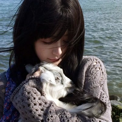 花篮花儿香